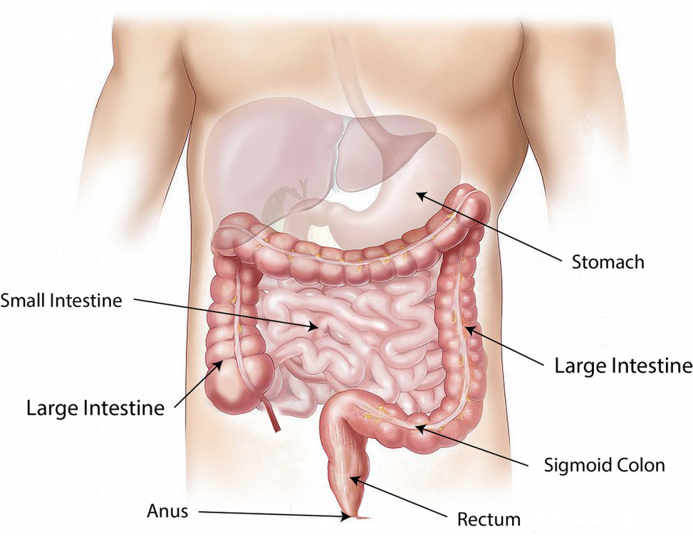 Colon diagram