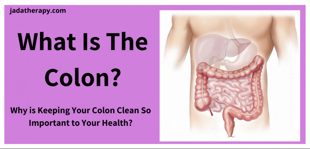 What is the Colon?