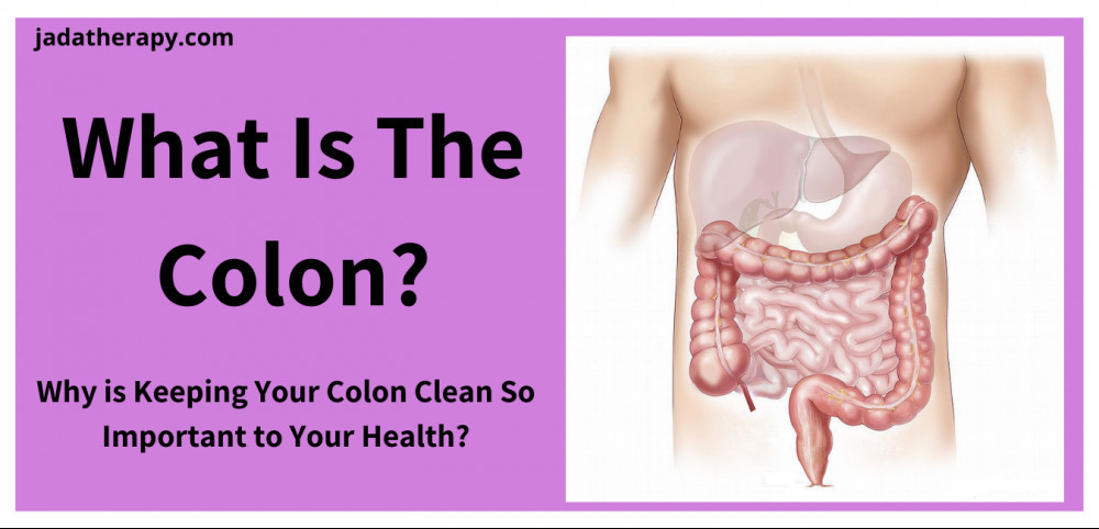 what-is-the-colon-why-is-it-important-to-cleanse-it-jada-therapy